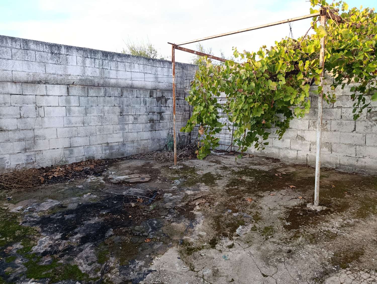 Maison à rénover à Batanejo