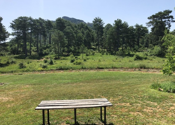 A property with a house in the heart of the Nature Reserve