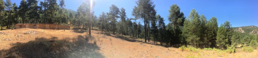 Hunting and timber estate in Segura