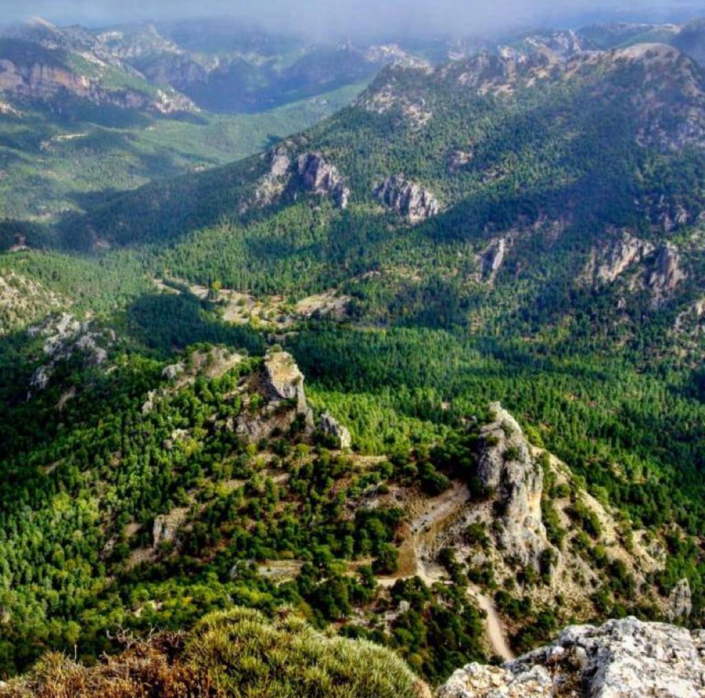 Hunting and timber estate in Segura