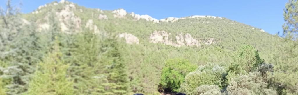 Hunting and timber estate in Segura