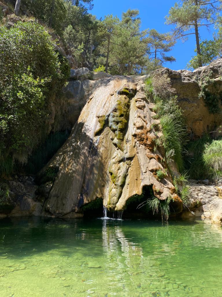 Hunting and timber estate in Segura