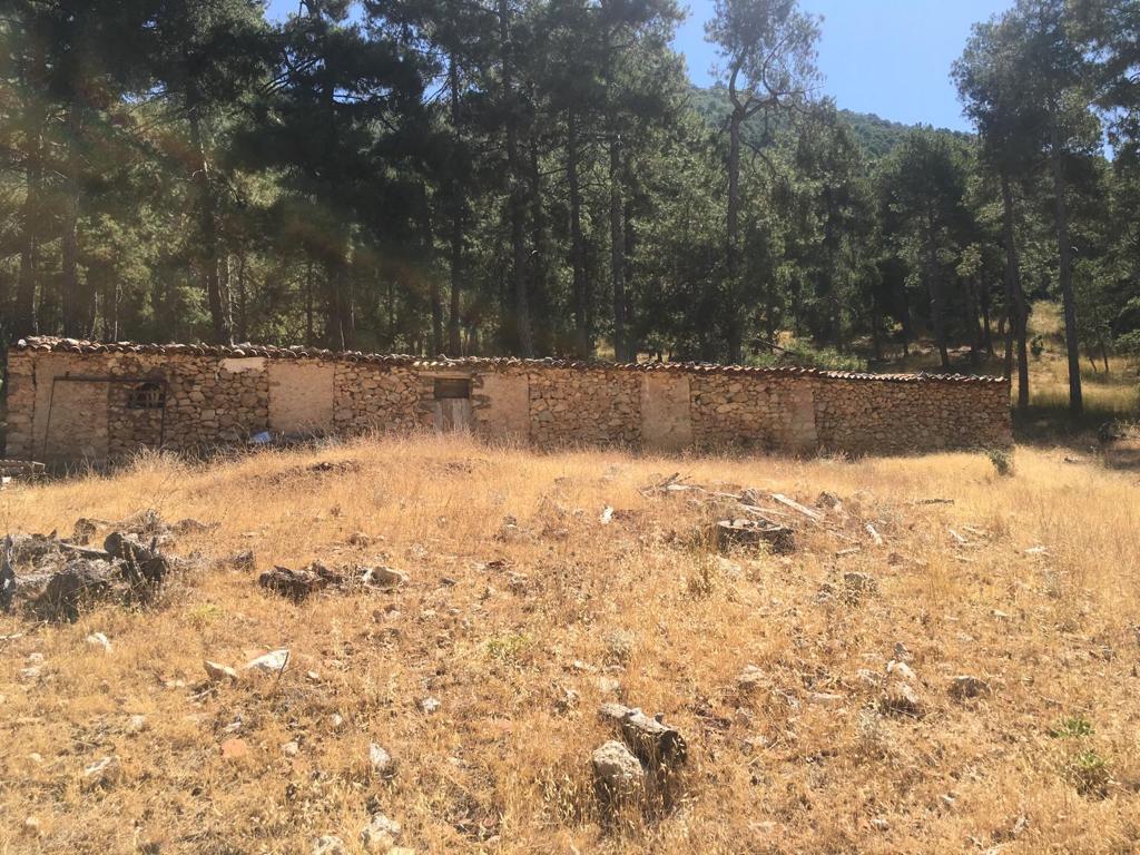 Hunting and timber estate in Segura