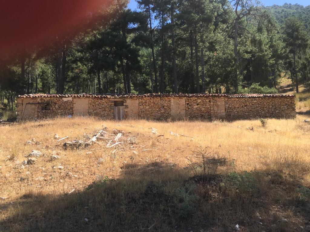 Hunting and timber estate in Segura