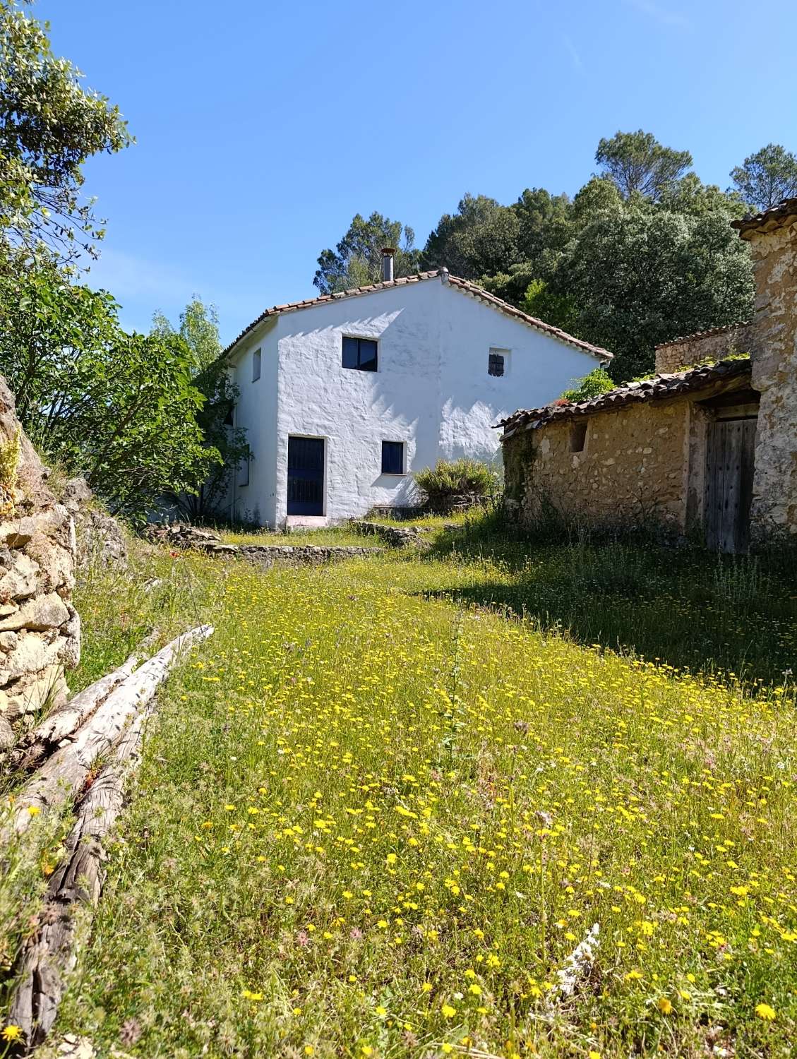 House with land in the mountains.