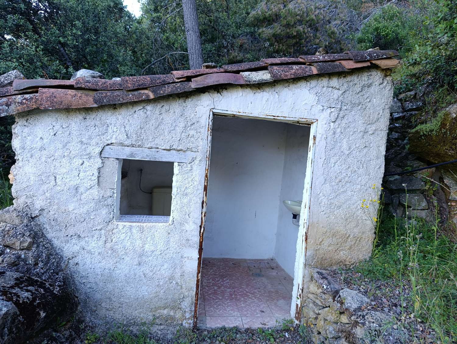House with land in the mountains.