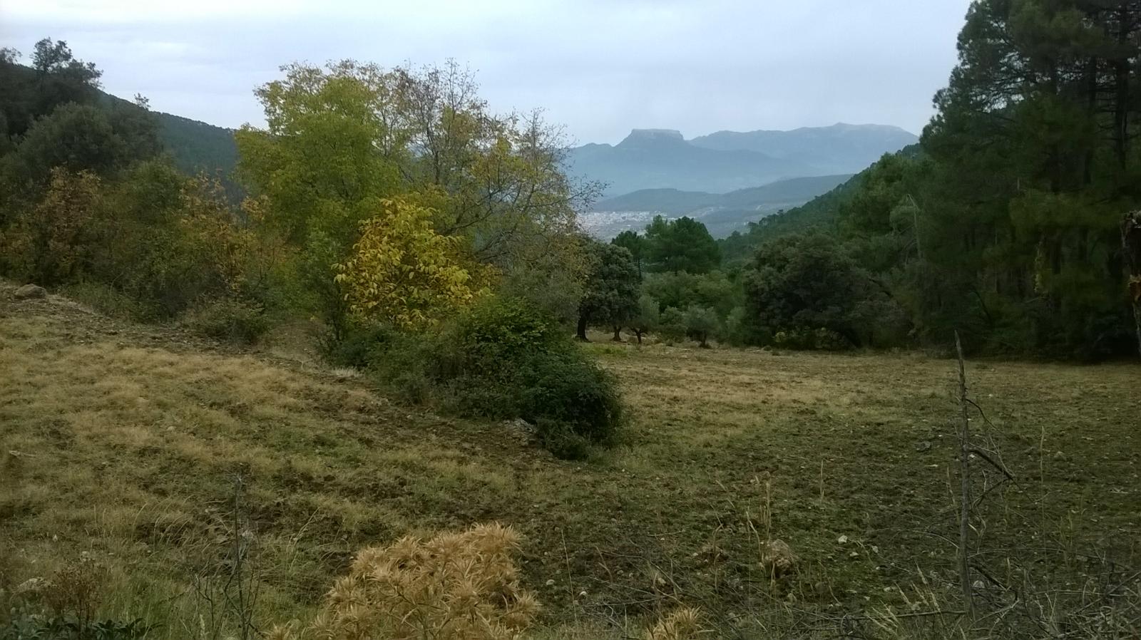 Domain en vente à Siles