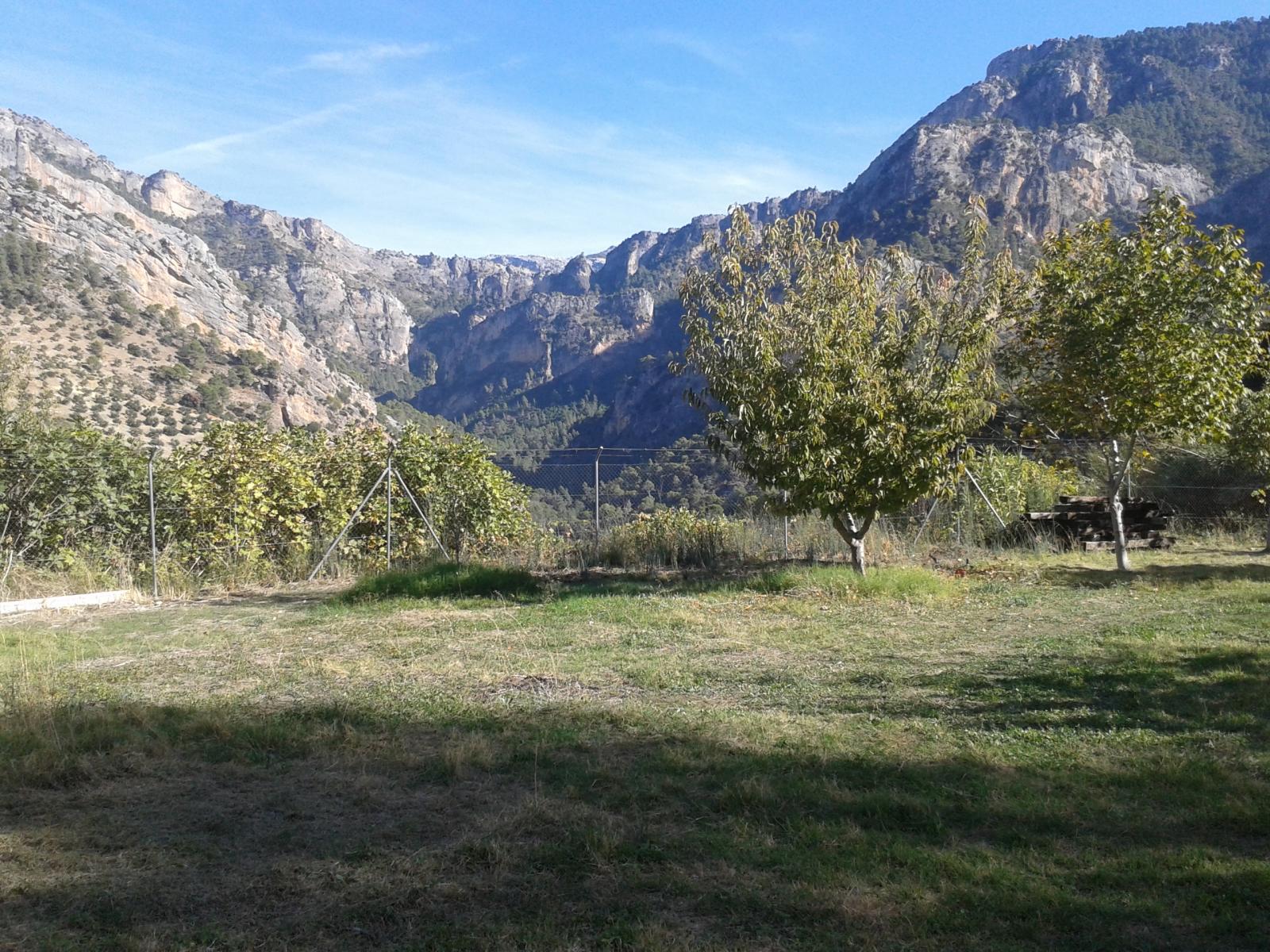Domain en vente à Villacarrillo