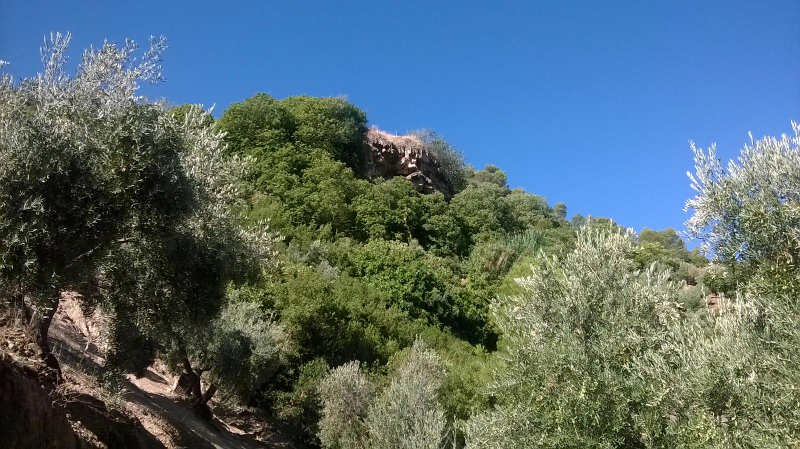 Domain en vente à Villacarrillo