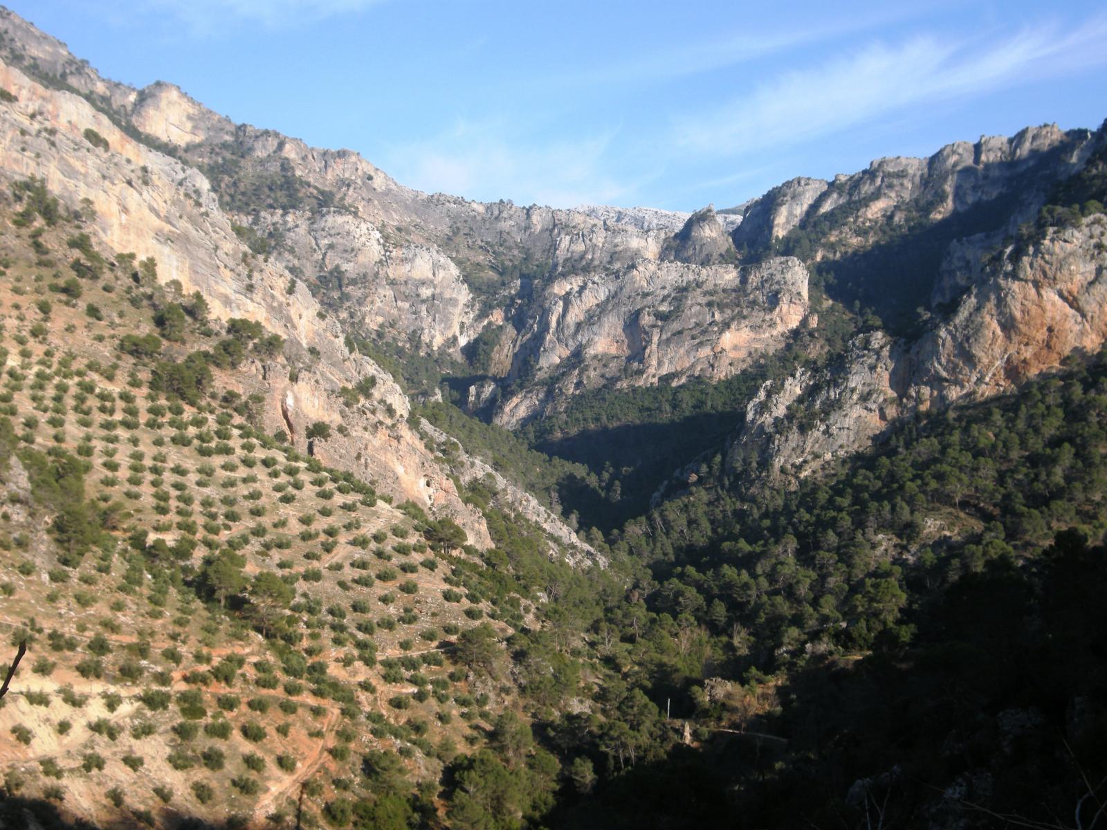 Domain en vente à Villacarrillo