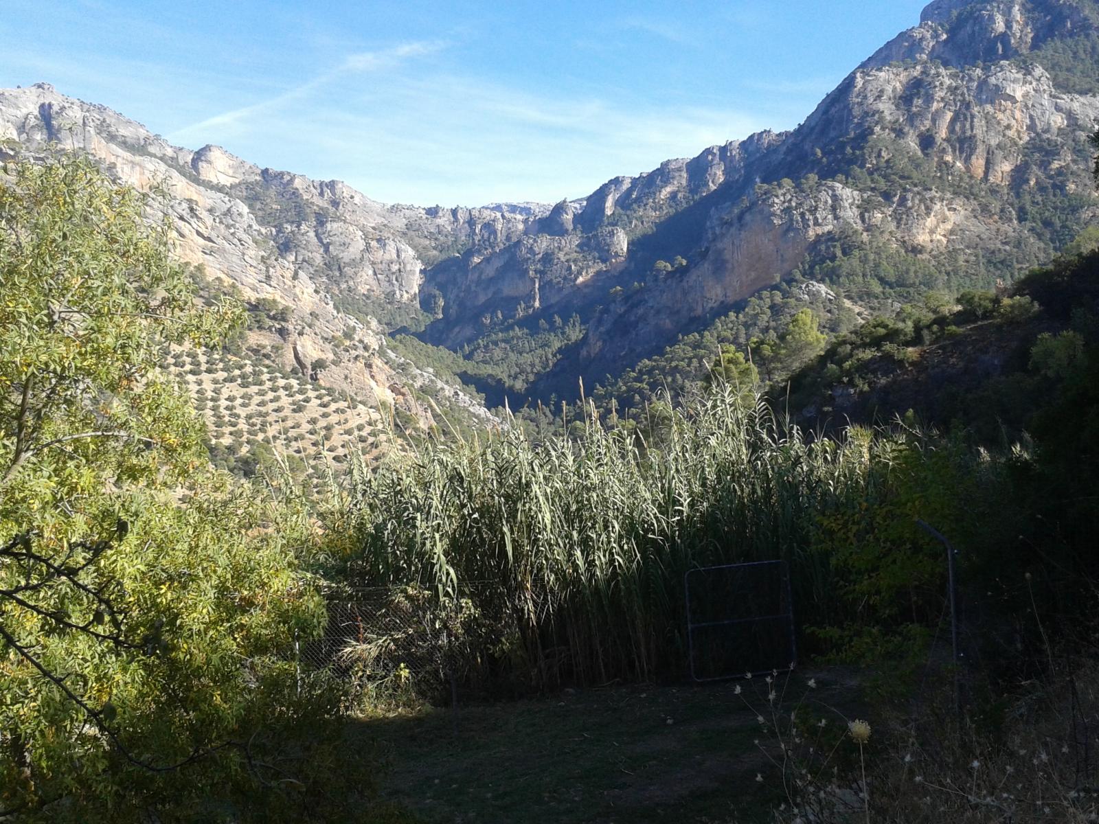 Domain en vente à Villacarrillo