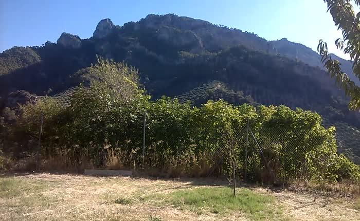 Domain en vente à Villacarrillo