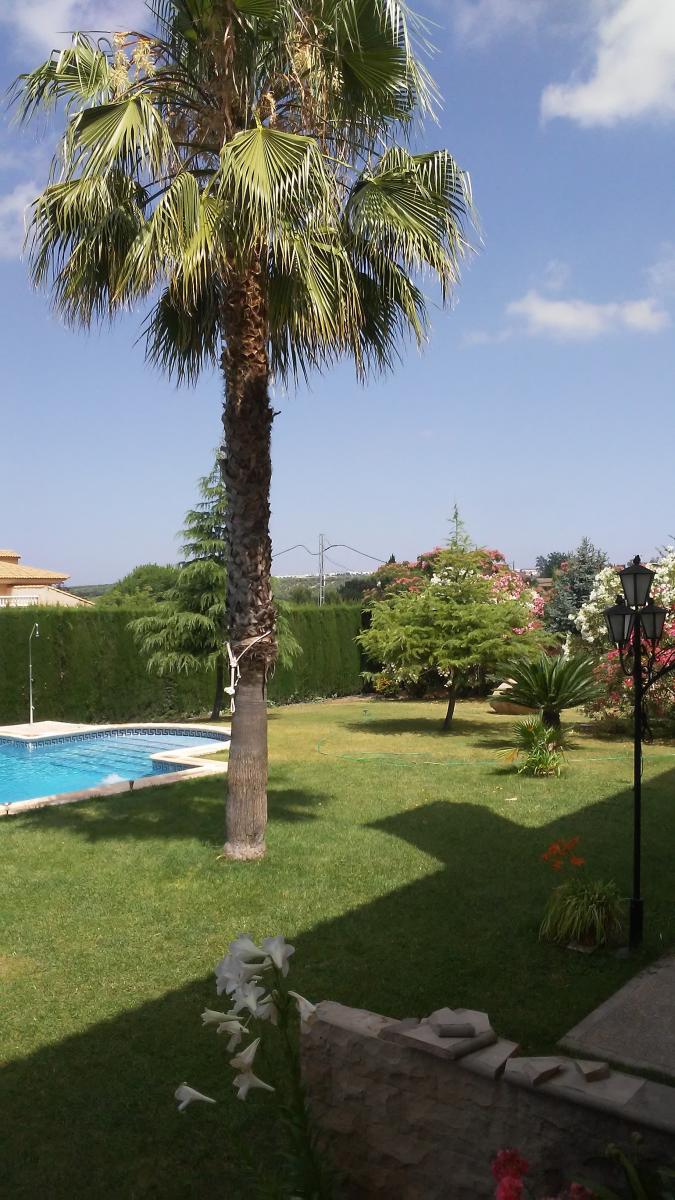 Domain en vente à Torreperogil
