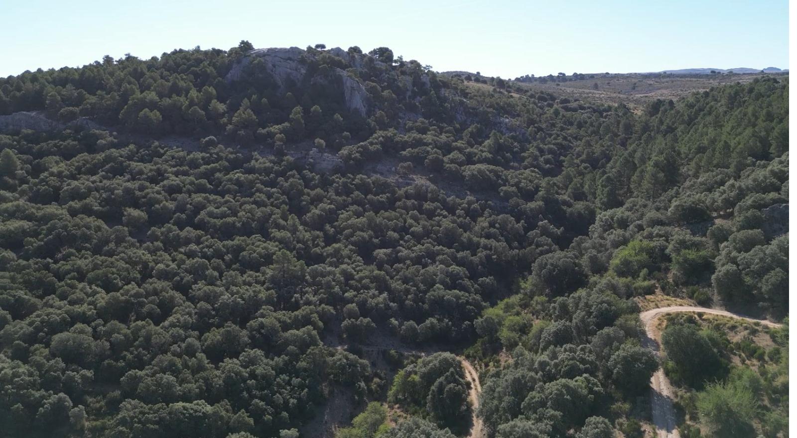 Domain en vente à Santiago-Pontones