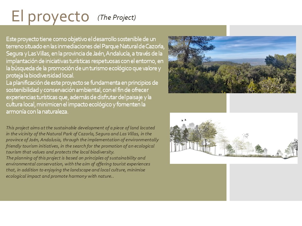 Terrain pour l'ECOCAMPING avec projet