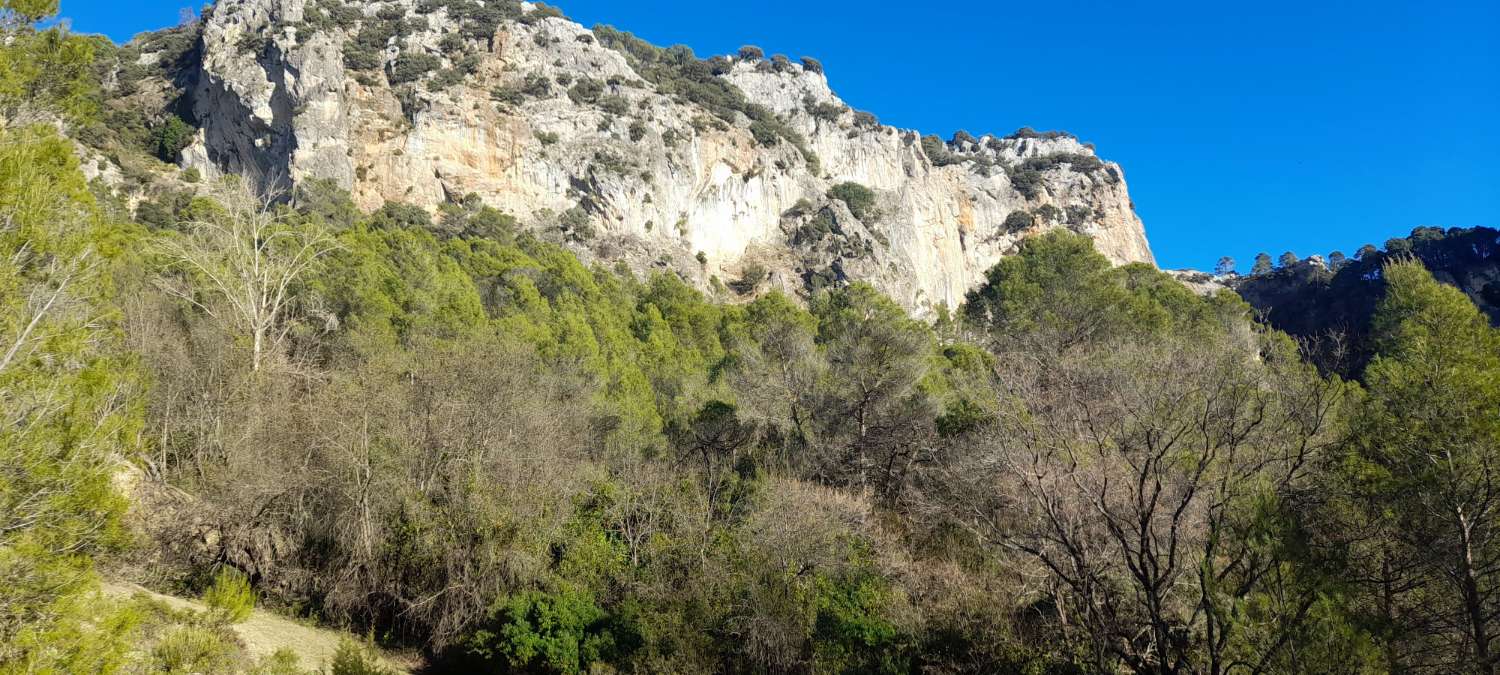 Finca in the Sierra