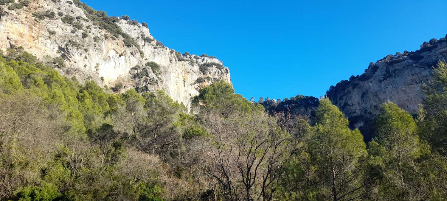 Finca in the Sierra