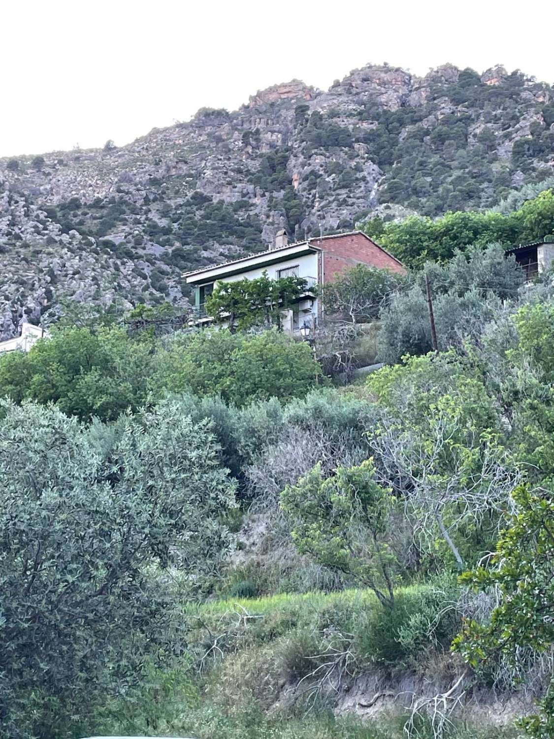 Maison avec terrain