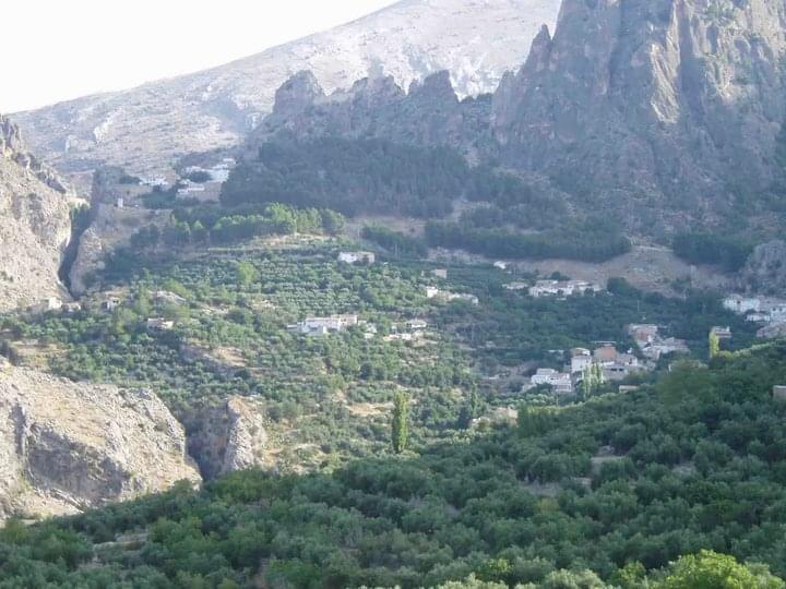 Maison avec terrain