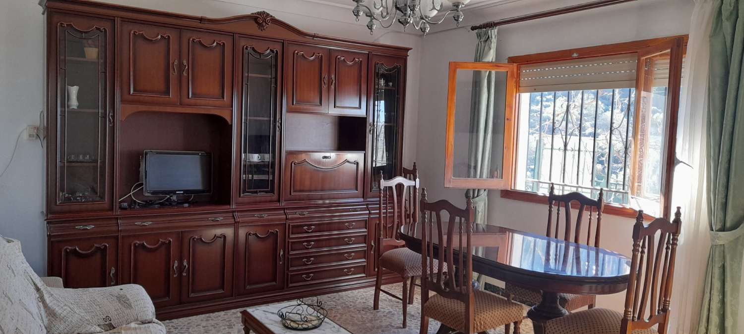 Maison avec terrain