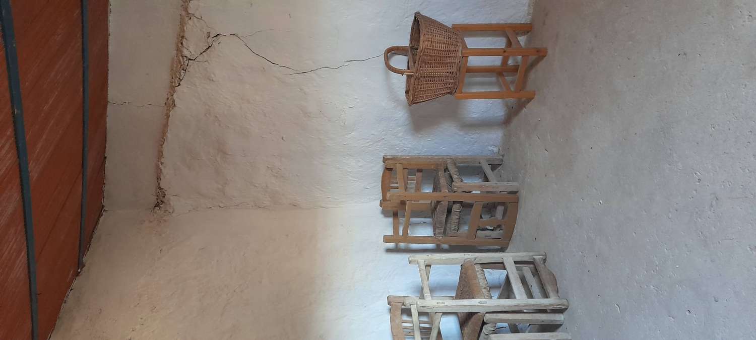 Maison avec terrain