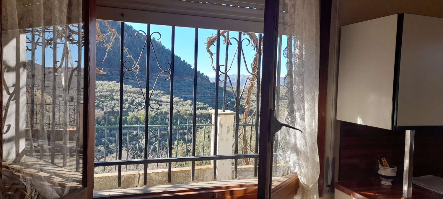 Maison avec terrain