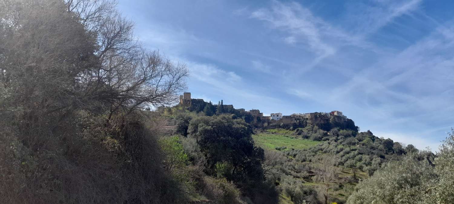 Grundstücke in Hornos de Segura