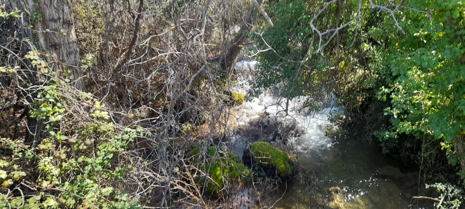 Grundstücke in Hornos de Segura