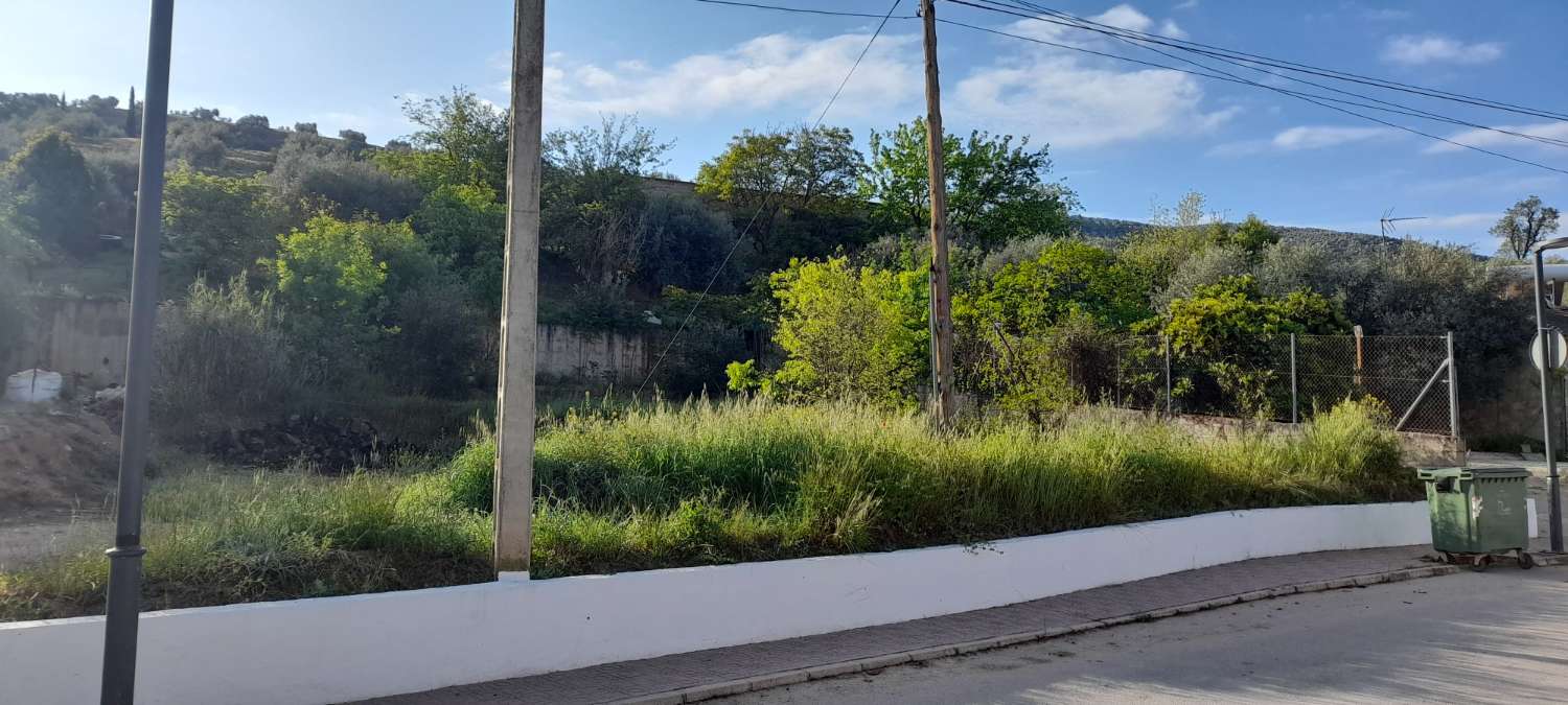 House with land in Mogón