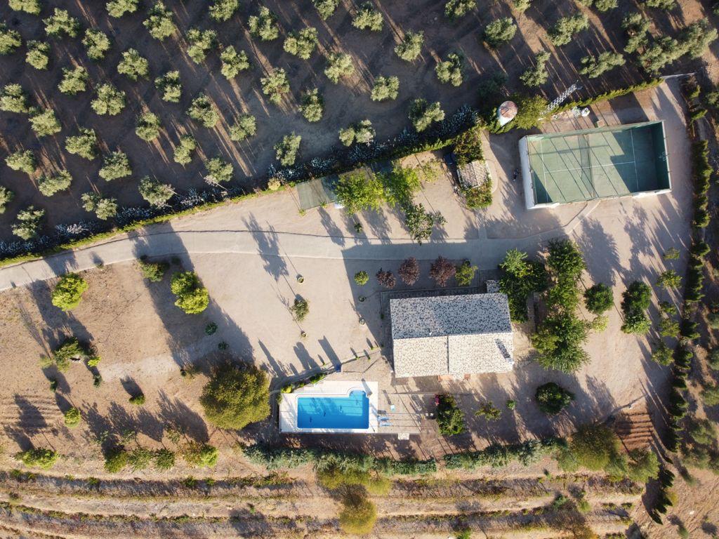 Chalet con viñedo en Villanueva del Arzobispo